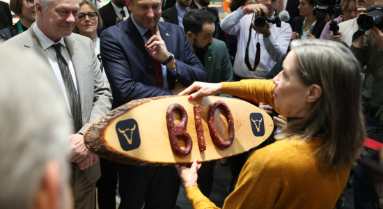 Thumbnail for 6917952