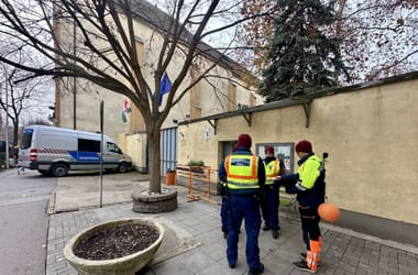 Thumbnail for 6918349