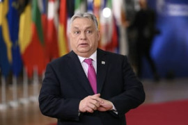 Thumbnail for 6918446