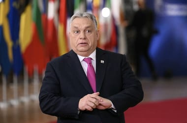 Thumbnail for 6918446