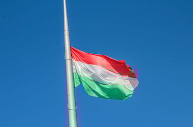 Thumbnail for 6918449