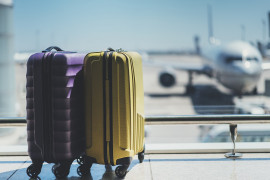 Thumbnail for 6919044