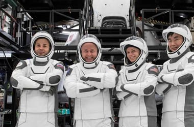 Thumbnail for 6919178