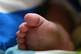 Thumbnail for 6919276