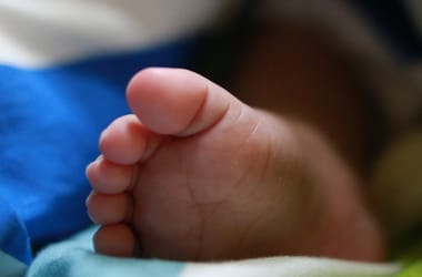 Thumbnail for 6919276