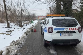 Thumbnail for 6919340