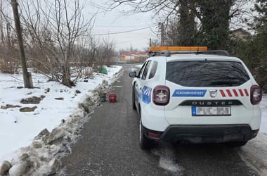 Thumbnail for 6919340