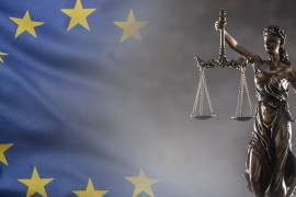 Thumbnail for 6919454