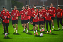 Thumbnail for 6919479