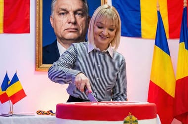 Thumbnail for 6919549