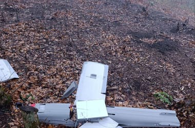 Thumbnail for 6919593