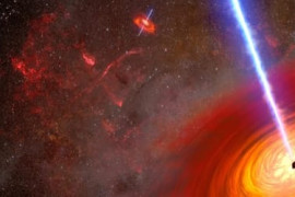 Thumbnail for 6919753