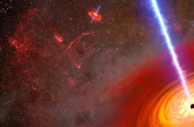 Thumbnail for 6919753