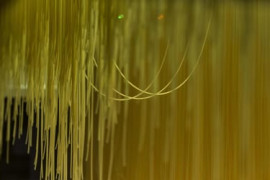 Thumbnail for 6920387