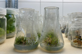 Thumbnail for 6920584