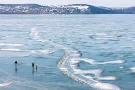 Thumbnail for 6920667