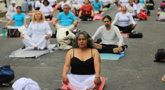 Thumbnail for 6920671