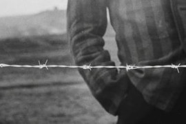 Thumbnail for 6921372