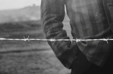 Thumbnail for 6921372