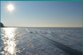 Thumbnail for 6921414