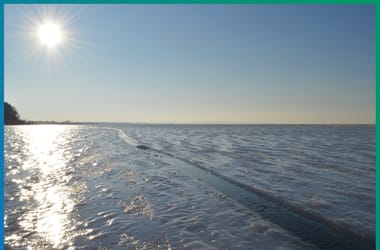 Thumbnail for 6921414