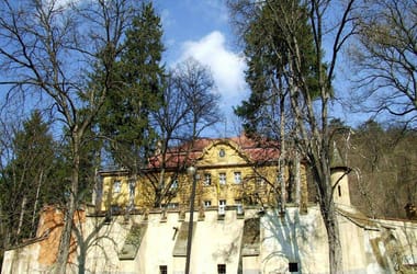 Thumbnail for 6921650