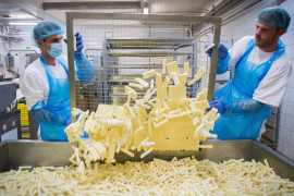 Thumbnail for 6921658