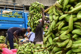 Thumbnail for 6921732