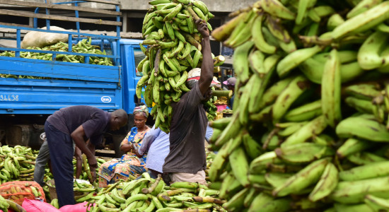 Thumbnail for 6921732