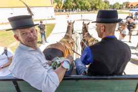 Thumbnail for 6922129