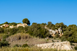 Thumbnail for 6923082