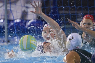 Thumbnail for 6923436