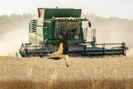 Thumbnail for 6923676