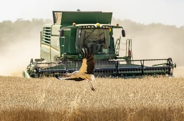 Thumbnail for 6923676