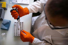 Thumbnail for 6924225