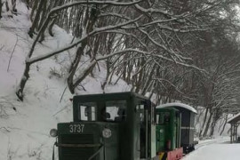 Thumbnail for 6924359