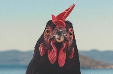 Thumbnail for 6924383