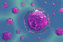 Thumbnail for 6924881