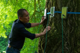 Thumbnail for 6926526