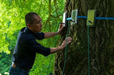 Thumbnail for 6926526