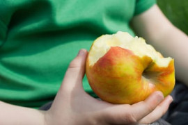 Thumbnail for 6927176