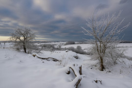 Thumbnail for 6927466