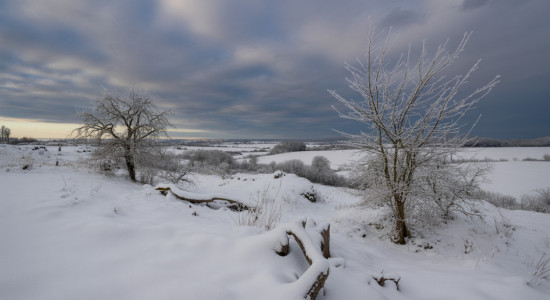 Thumbnail for 6927466