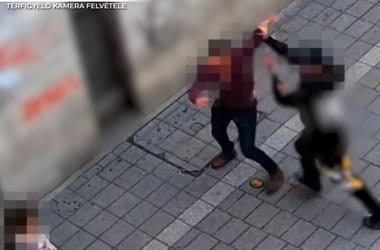 Thumbnail for 6927701