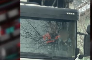 Thumbnail for 6928158