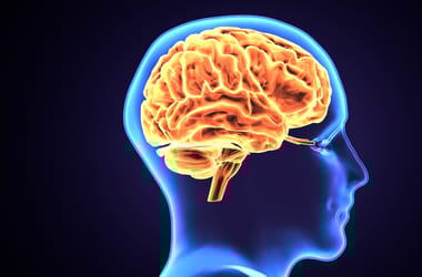 Thumbnail for 6928175