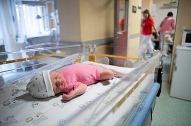 Thumbnail for 6928551