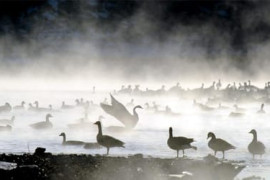 Thumbnail for 6928578