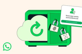 Thumbnail for 6929276