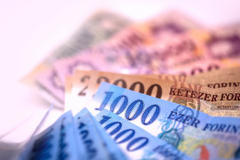 Thumbnail for 6929819